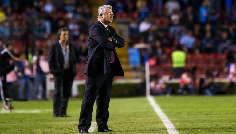 Vuce obcerva un encuentro de Gallos