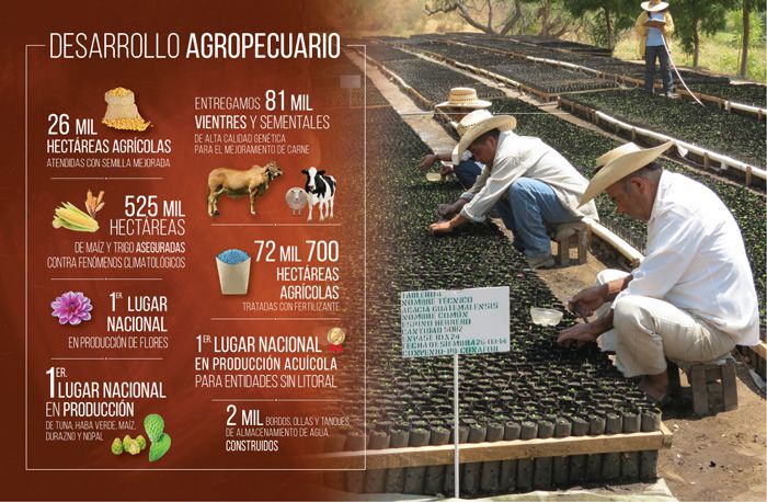 Avances agropecuarios en el Estado de México