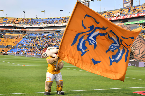 Mascota de Tigres ondea una bandera del equipo en el Volcán