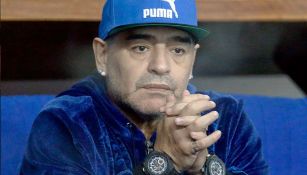 Maradona observa Final de la Copa Davis
