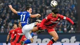 Chicharito 'batalla' por el balón en el duelo contra Schalke 04