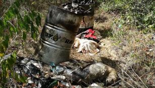 Imagen del basurero donde encontraron a los perros quemados