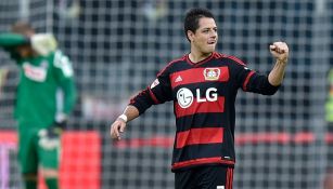 Javier Hernández celebrando un gol con el Bayer Leverkusen