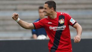 Chicharito festeja un gol en la última Jornada de la Bundesliga