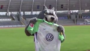 Mascota de Lobos BUAP con la playera del Wolfsburgo 