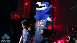 SonicFox celebra enfundado en su icónica botarga