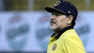 Maradona observa el duelo de Dorados