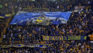 Afición de Tigres, durante encuentro de Liguilla frente a Pumas 