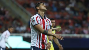 Alan Pulido lamenta jugada en un duelo con Chivas