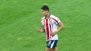 Alan Pulido festeja su gol