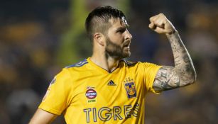 Gignac festeja un gol con Tigres