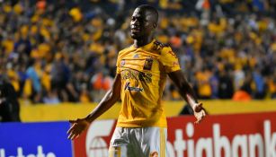 Enner Valencia festeja un gol con Tigres