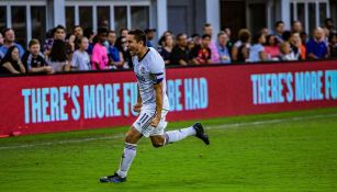 Alejandro Bedoya celebra su gol ante el DC United