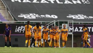 Tigres Femenil buscará continuar como invicto en su visita al Cruz Azul 