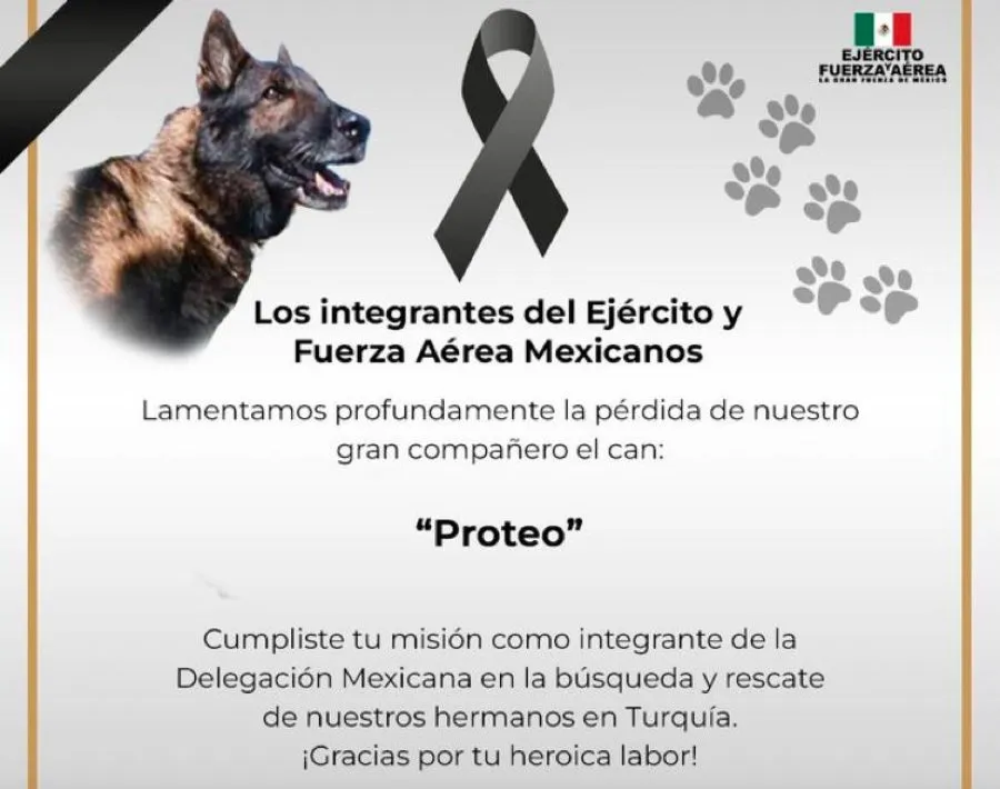 TWITTER: @SEDENAMX Boletín de la SEDENA