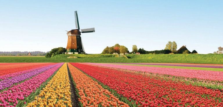 Holanda, el país que mira hacia el futuro