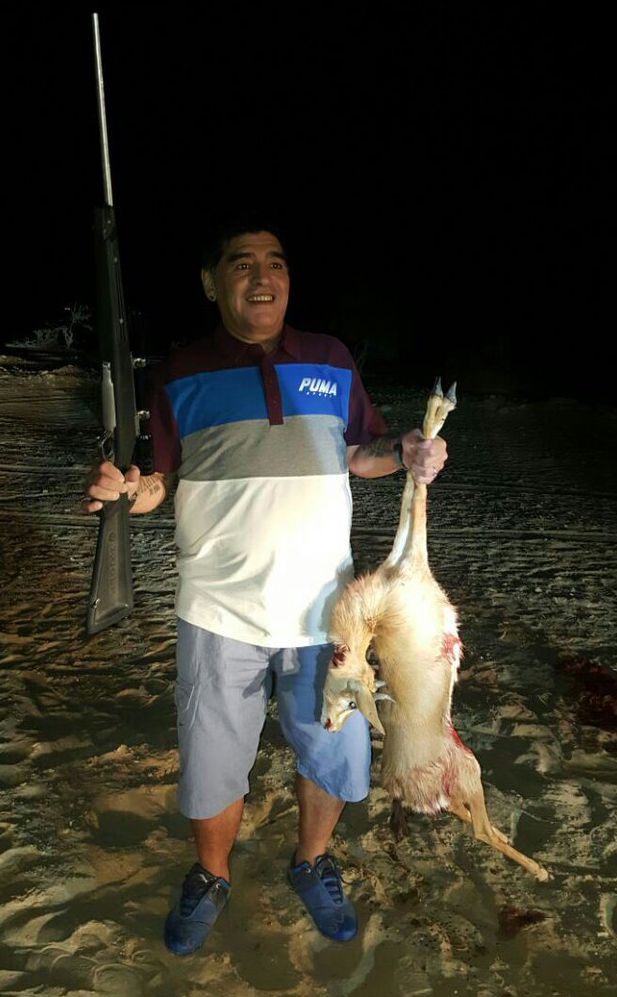 Maradona posa con cadáver de animal 