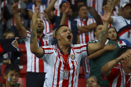 Un aficionado de Chivas durante un partido