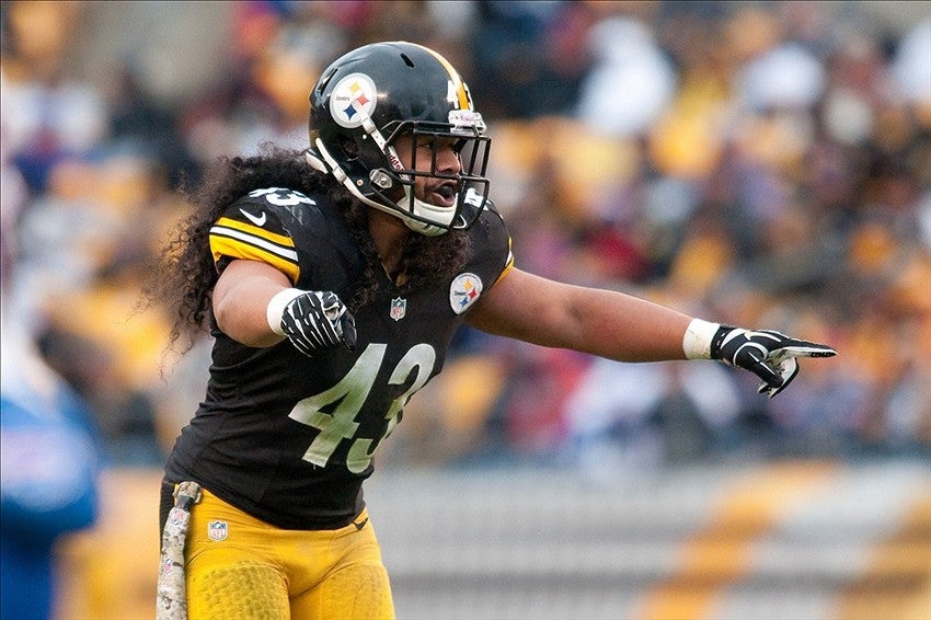 Troy Polamalu, durante un partido