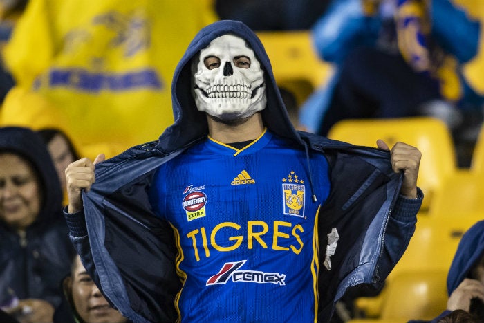 Aficionado de Tigres, disfrazado