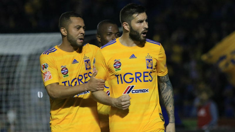 Tigres en festejo