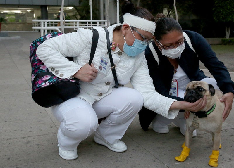 Coronavirus en México