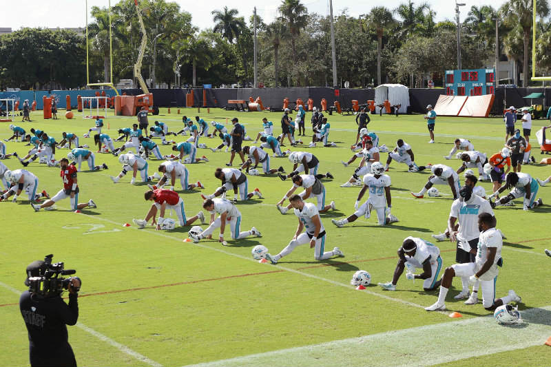 Dolphins en entrenamiento