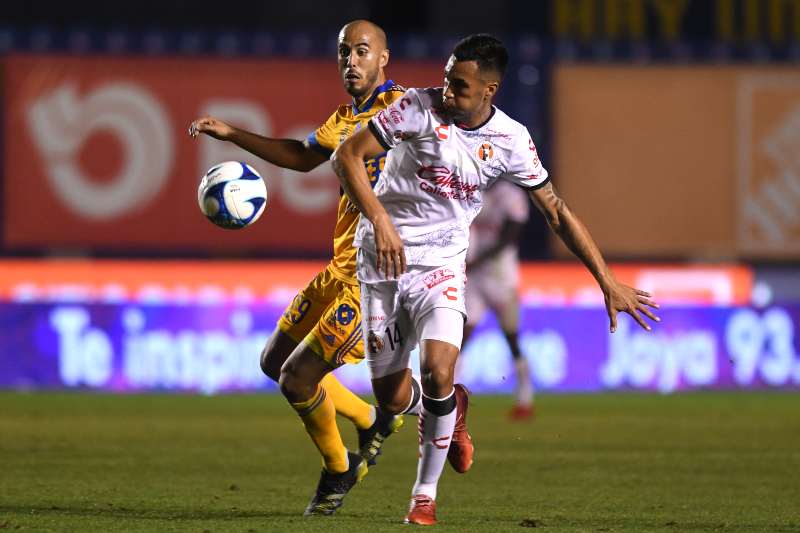 Tigres vs Xolos en partido