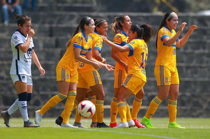 Tigres Femenil en partido