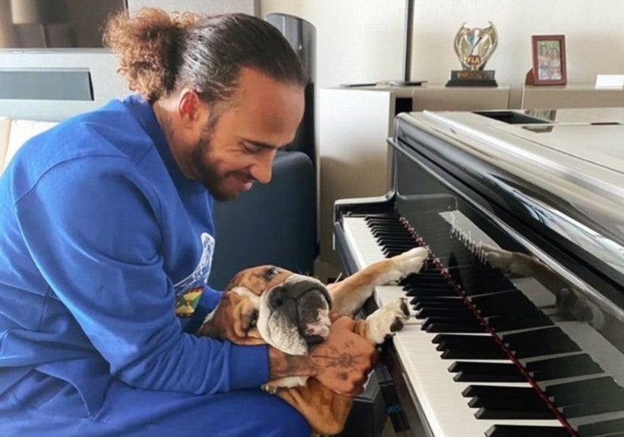 Hamilton con su perro, en su piano