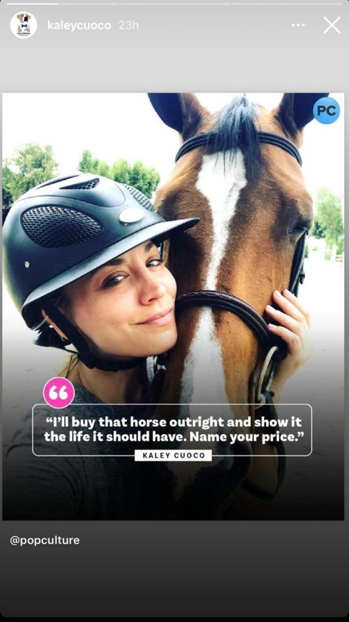 Kaley Cuoco se ofreció a comprar caballo maltratado