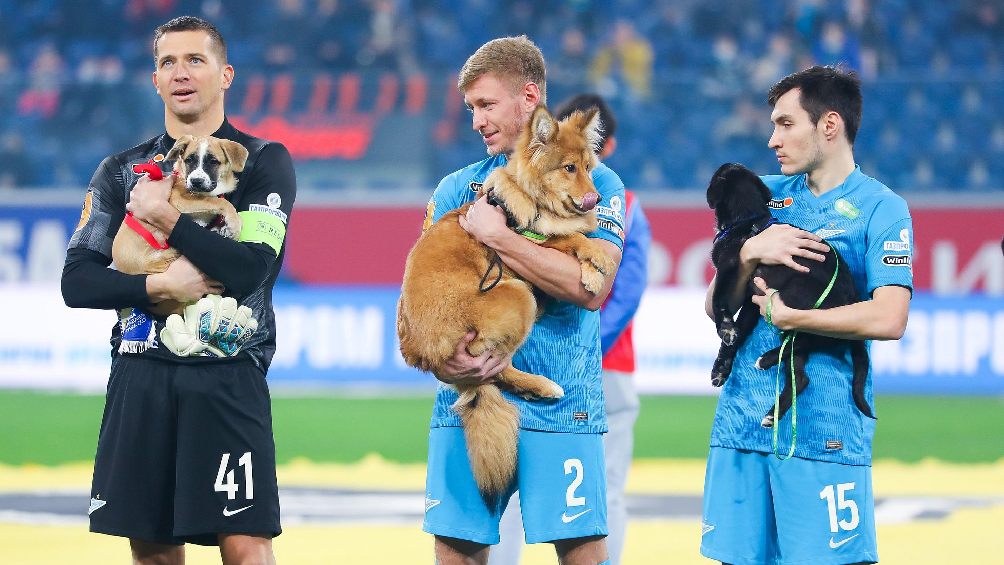 Jugadores del Zenit de San Petersburgo cargando a perros