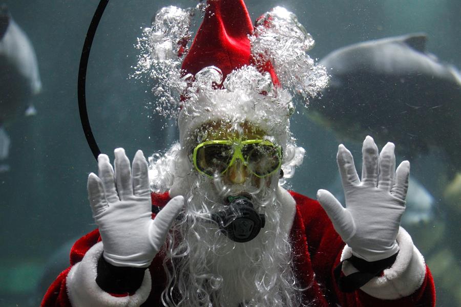 Santa Claus nada con pirañas en el zoo de Guadalajara