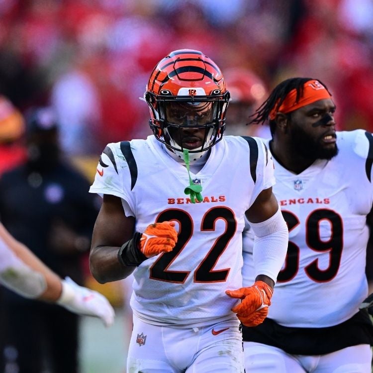 Bengals está de regreso en el SB