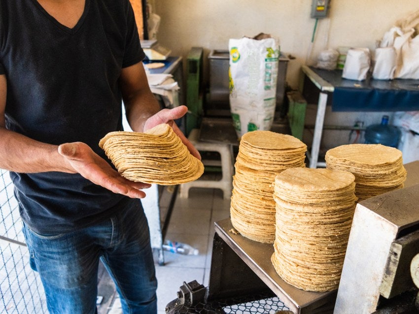 Precio de la tortilla alcanzó los 33 pesos y puede subir más a inicios