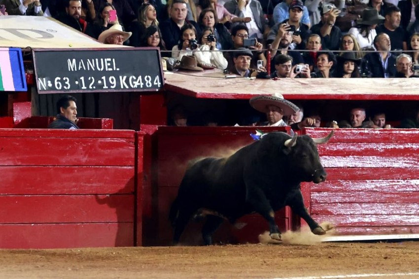 Plaza México tendrá corridas de toro