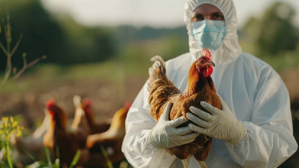 Fue en Durango donde la niña se pudo haber enfermado.