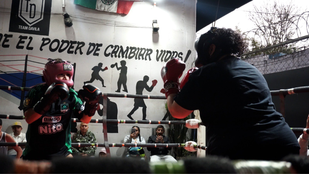 Será una pelea callejera: Alana Flores da impactante noticia sobre su duelo contra Gala Montes. Noticias en tiempo real