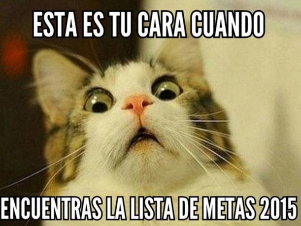 Las metas del 2015 y que no se cumplieron