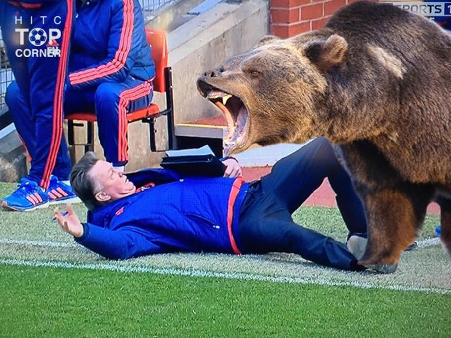 Van Gaal asombrado con el oso