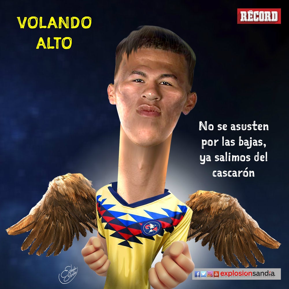 Volando alto RÉCORD