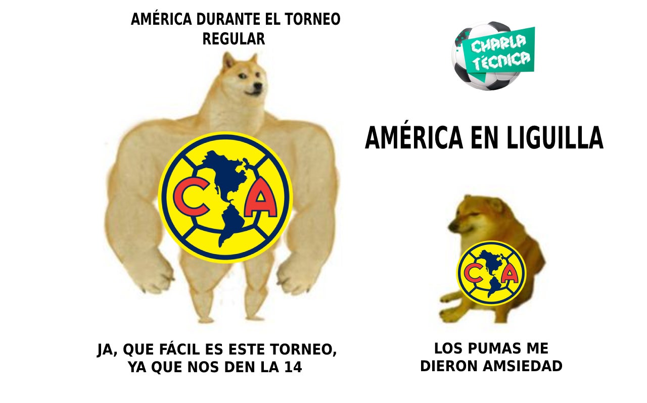 América: Los mejores memes de la eliminación de las Águilas ante Pumas |  RÉCORD