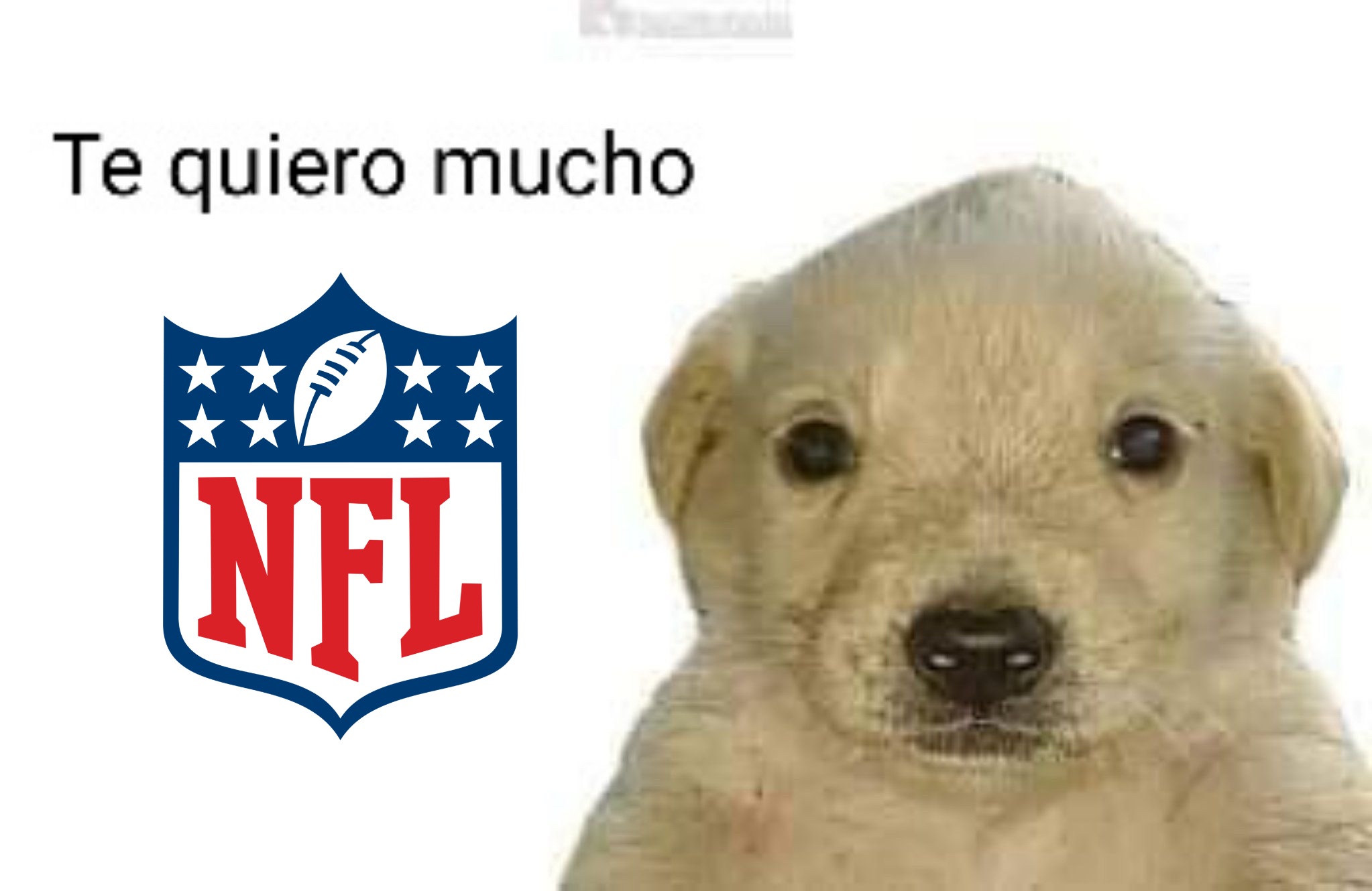 Galería: Los mejores memes de la última Semana de la NFL