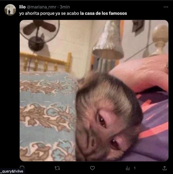 Depresión post-reality show