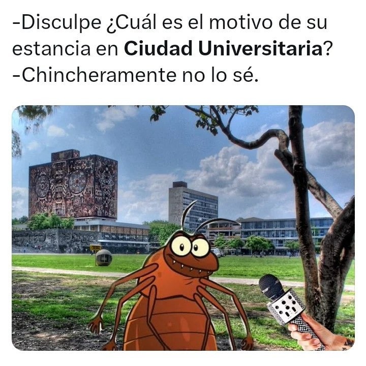 Diviértete con los mejores memes de la invasión de chinches en la UNAM