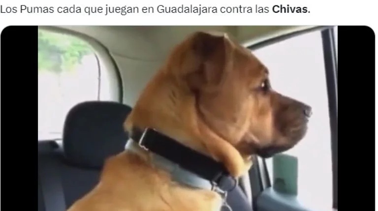 Diviértete con los mejores memes sobre el triunfo de Chivas contra Pumas 