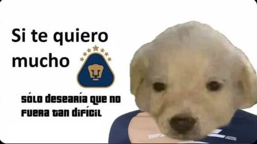 Es muy difícil