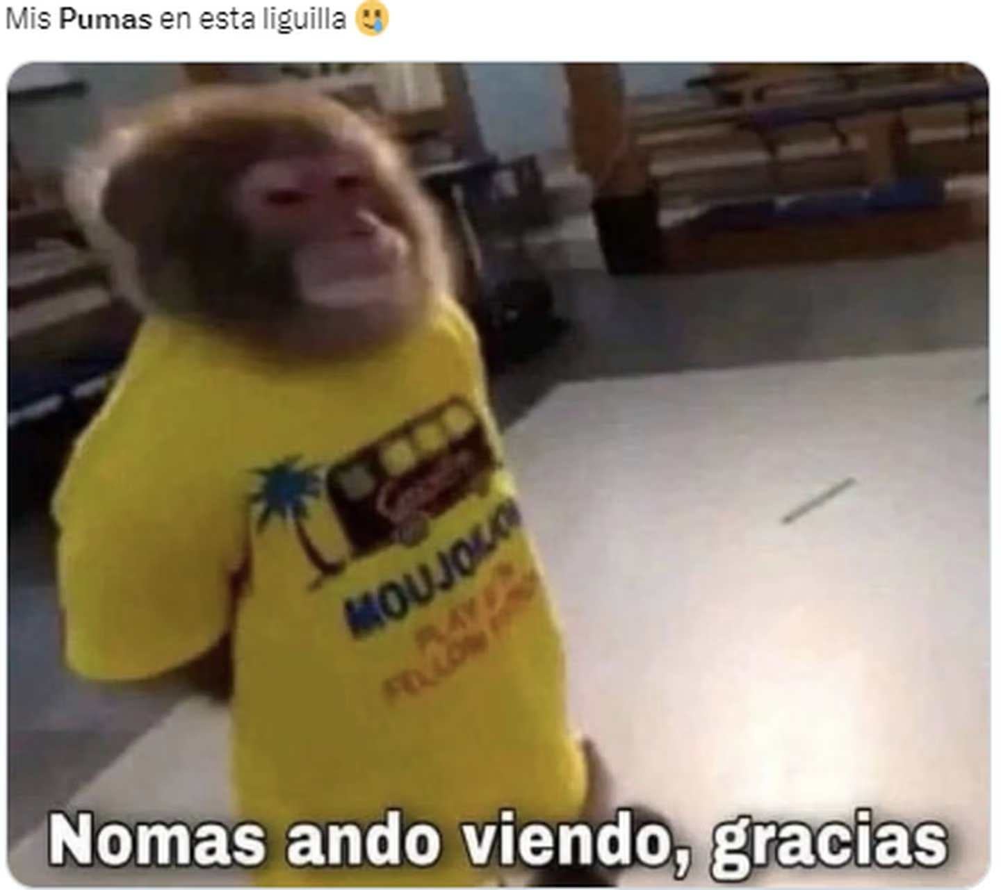 Un año más viendo la liguilla desde cantera