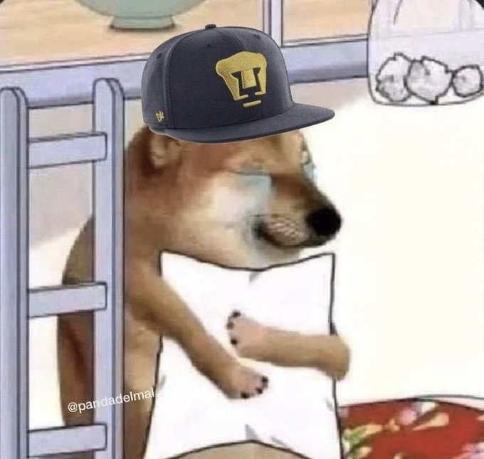 Los aficionados de Pumas esta noche