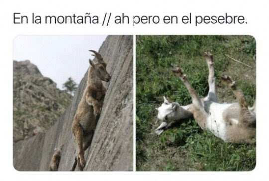 ¿Cómo llegué hasta aquí?